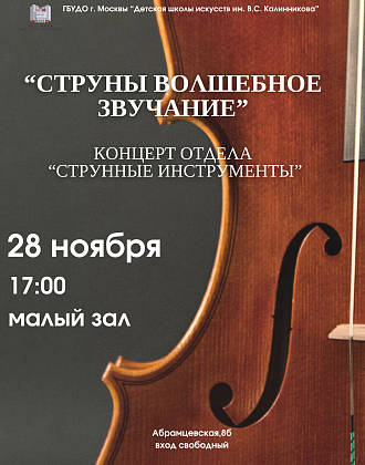 Концерт «Струны волшебное звучание» 28.11.2024